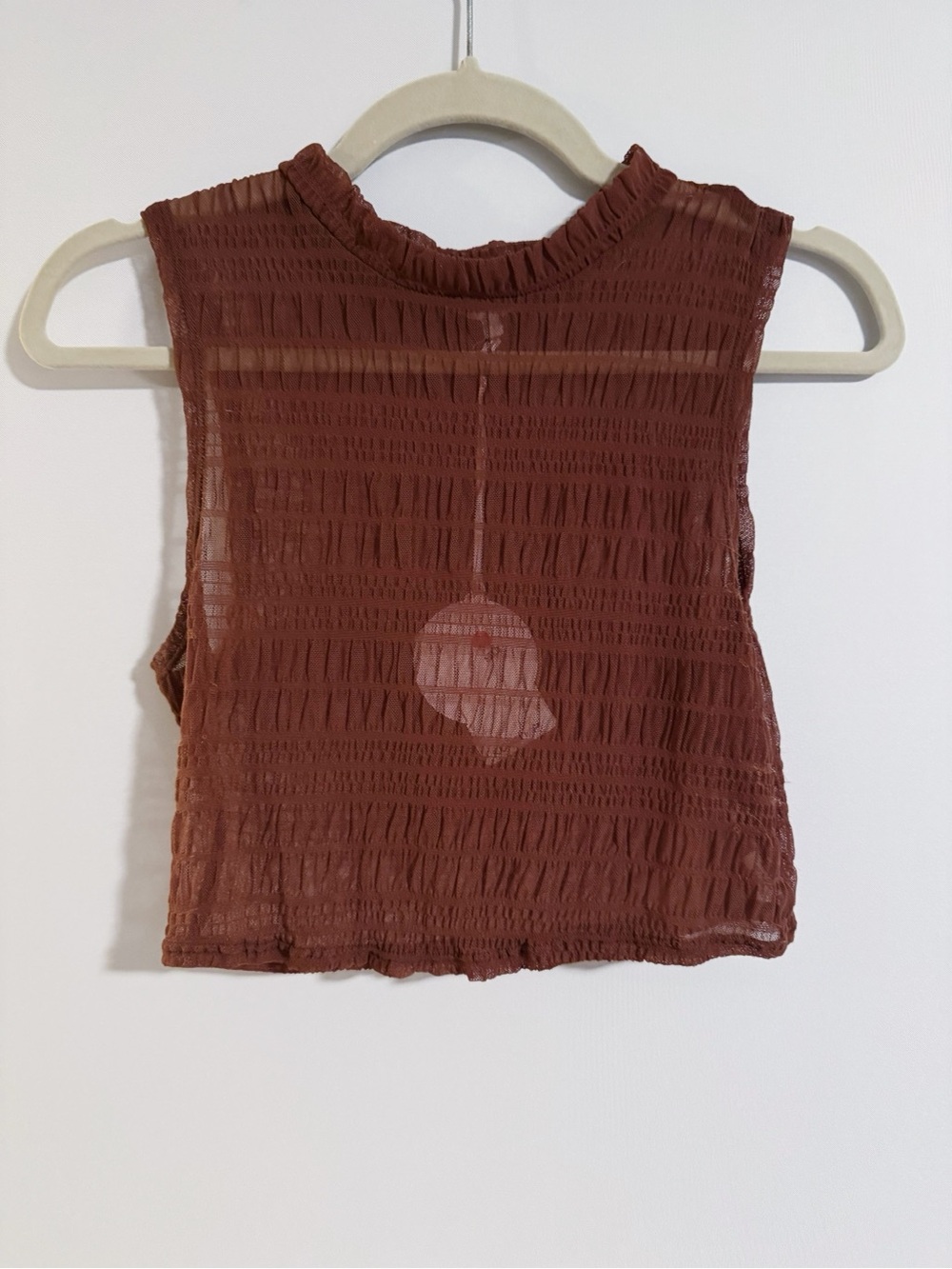 More to Come - Brown Sheer Smocked Crop Tank